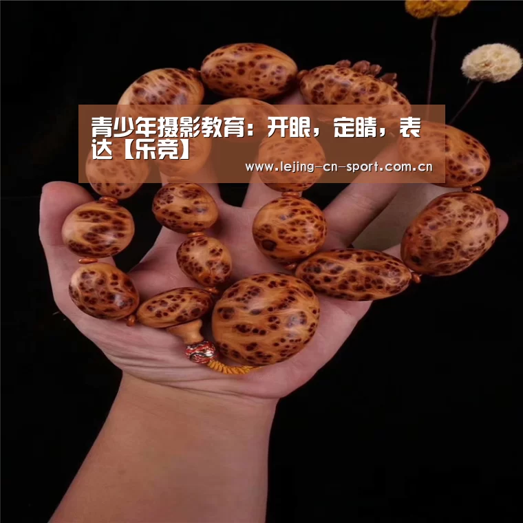 <h1>青少年摄影教育:开眼,定睛,表达【乐竞】(图3) 乐竞官网