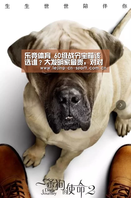 乐竞体育_60级战令宝箱该选谁?大发明家最贵,对对碰最可爱,而他最实用(图2) 乐竞体育